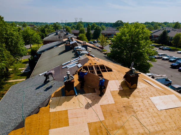 Trusted Roof Replacement service in Sunnyside, GA - Brentwood Metal Roofing
